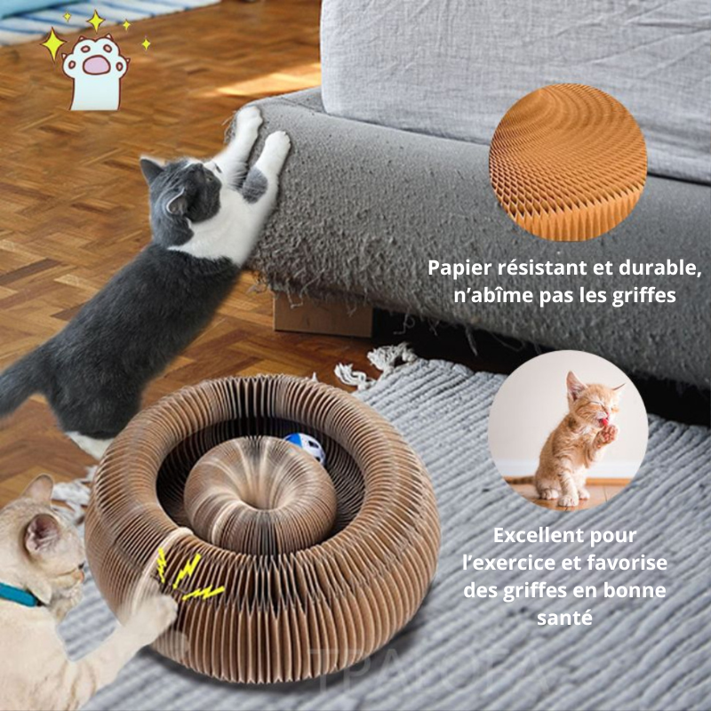 Roue de jeu pour chat X