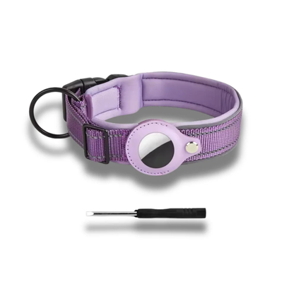 Collier GPS pour Chien