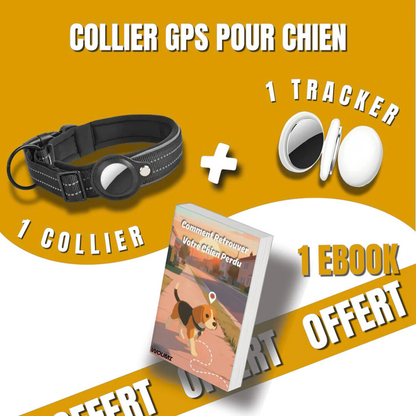 Collier GPS pour Chien