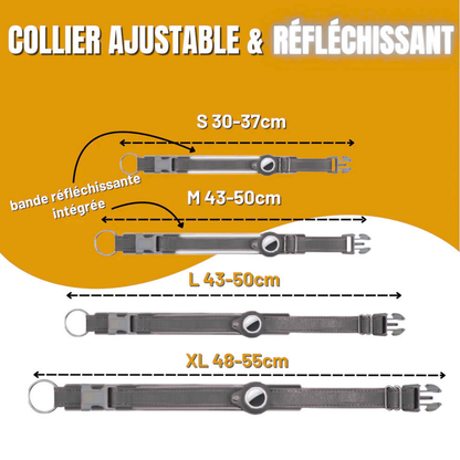 Collier GPS pour Chien