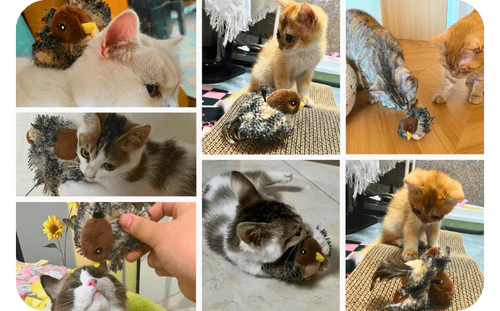 Testé sur le terrain à grande échelle