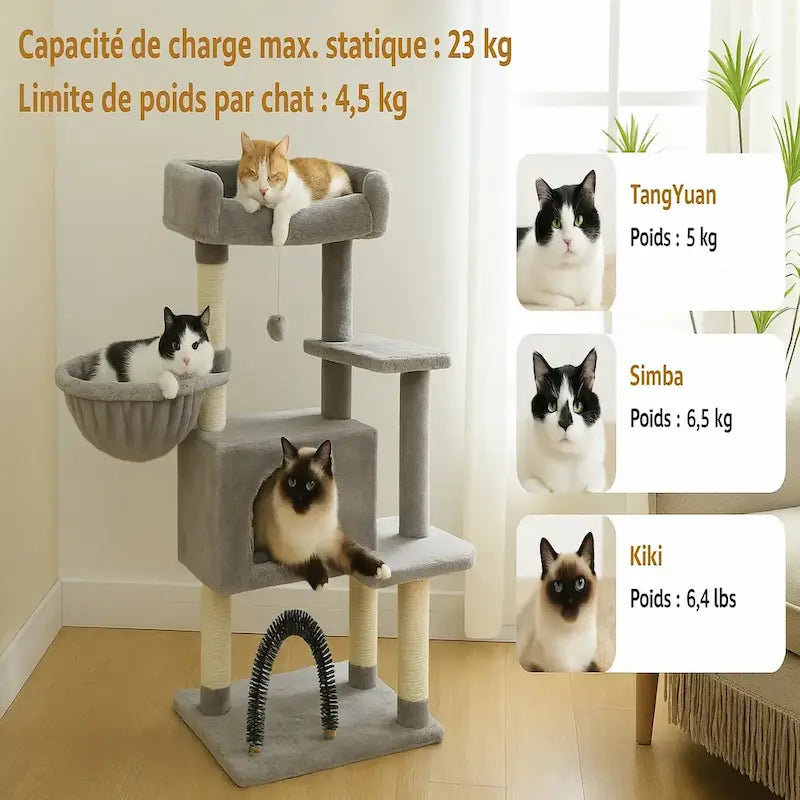 Arbre à chat avec jouet - Stimule & amuse | FeliPlay