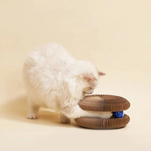 Roue de jeu pour chat