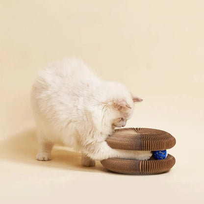 Roue de jeu pour chat X