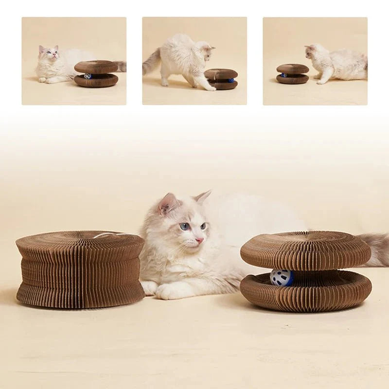Roue de jeu pour chat X