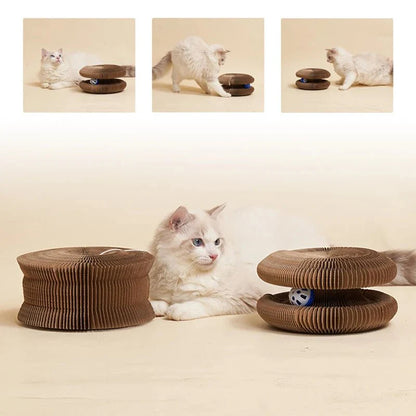 Roue de jeu pour chat X