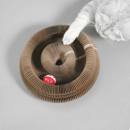 Roue de jeu pour chat X